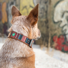 Load image into Gallery viewer, Dog Collar