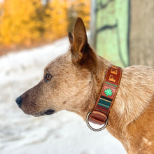 Load image into Gallery viewer, Dog Collar