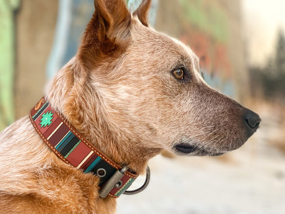 Dog Collar